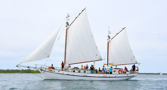 pearl lugger