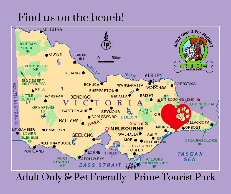 Copy_of_Prime_Pet_Friendly_Tourist_Park